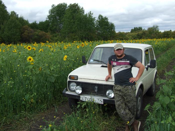Среди "одуванчиков".