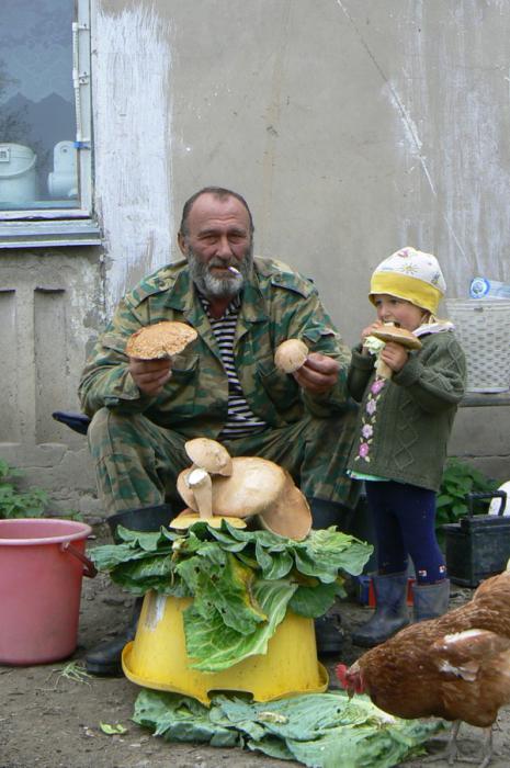 батя с дочей тихо поохотились.. 