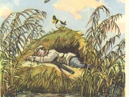 На "утренней зоре'.