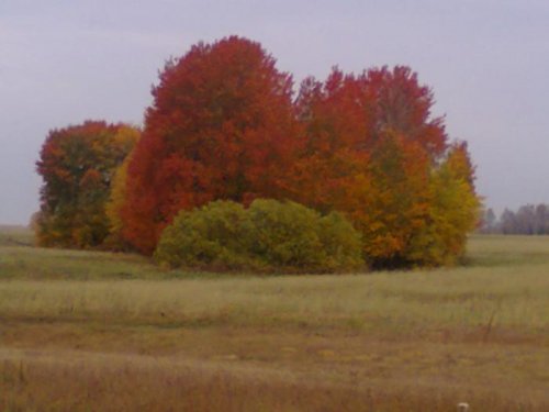 краски осени