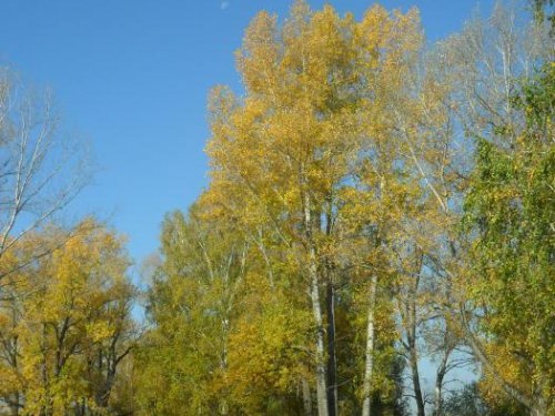 Бабье Лето