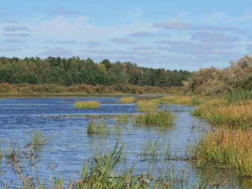 Кашлам