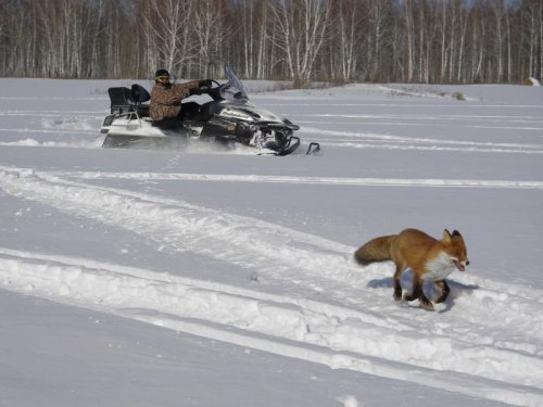 хитрый блин...