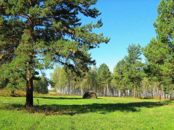 Барсуково.