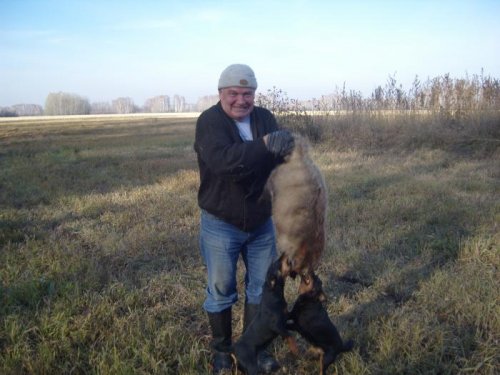 сезон 2010