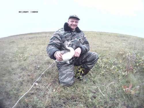 поганка