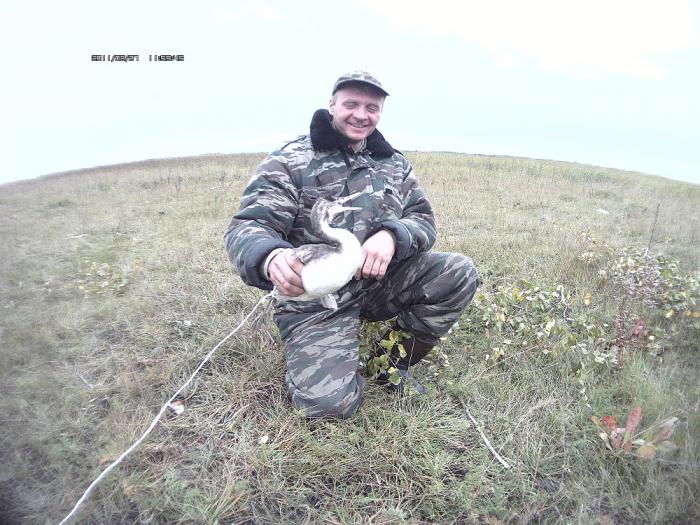 поганка