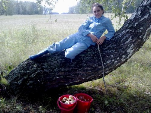 грибов немного но прогулялись хорошо