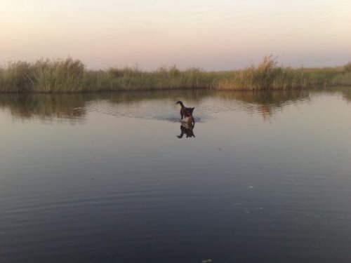 Охта в Карасуке 