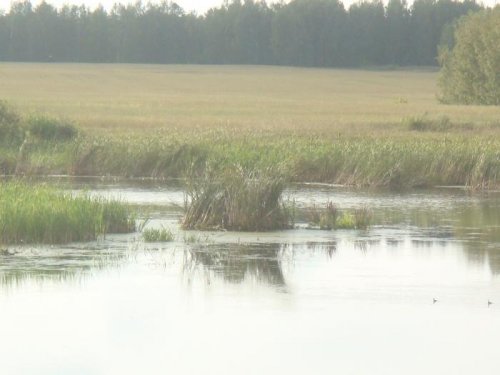 Мой скрадок.