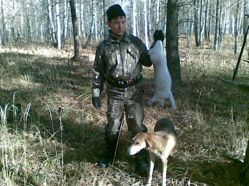 охота на зайца