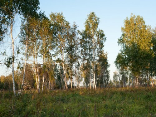 лабаз