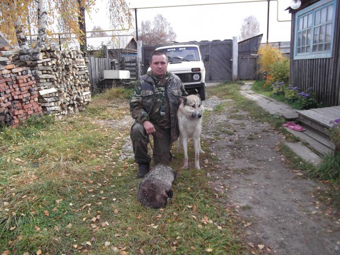1 в сезоне,