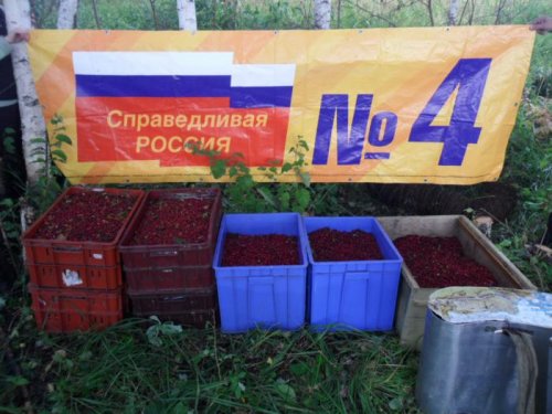 ягода для партии=)))