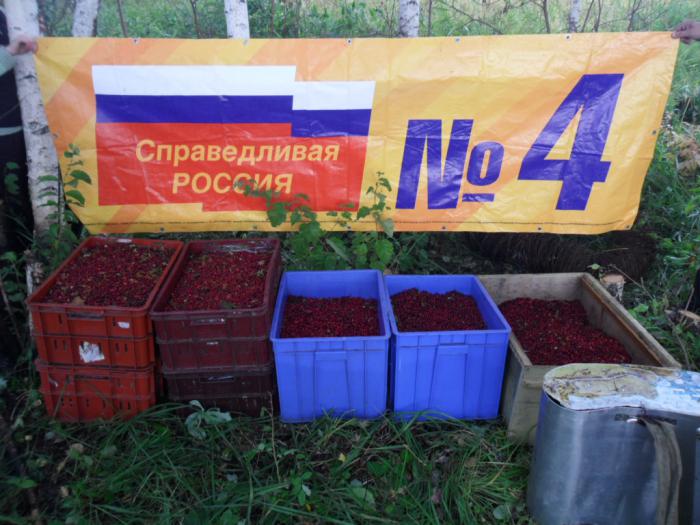 ягода для партии=)))