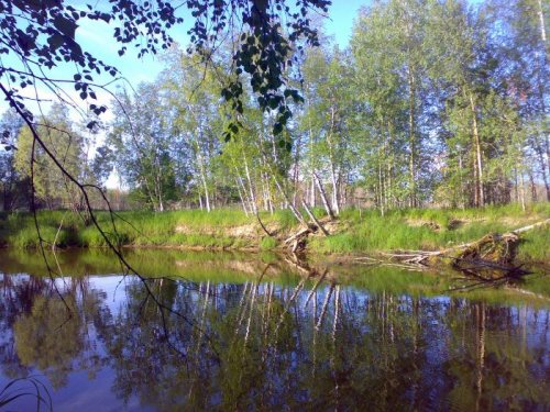 Пасол