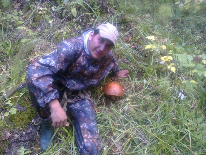 Хороший был гриб)