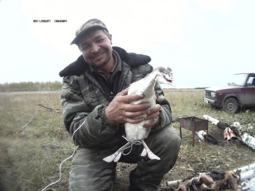 взяли живьём