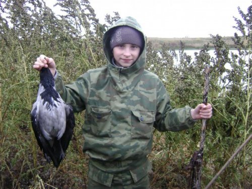 между делом