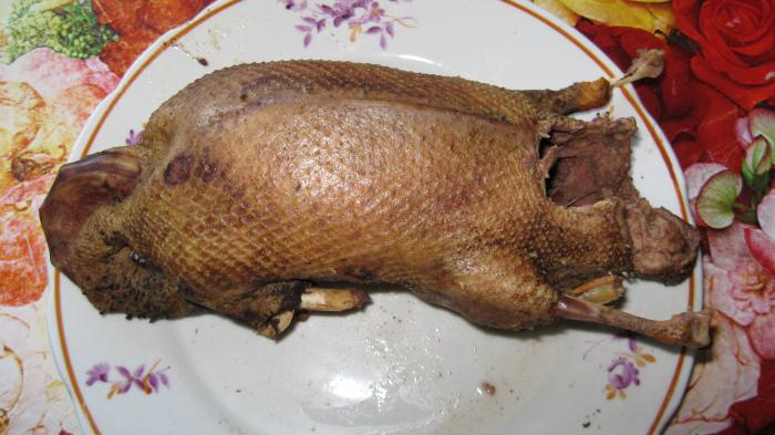 Вчерашний крякаш