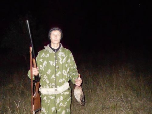 серая утка с подхода