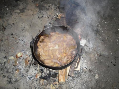 Ералаш по-сибиряковски