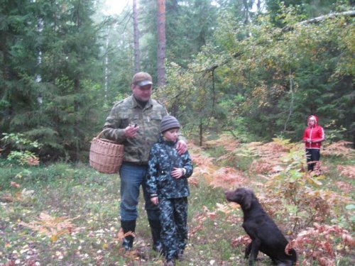 осенняя  прогулка