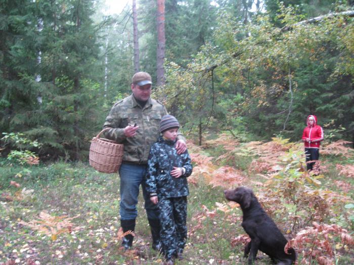 осенняя  прогулка