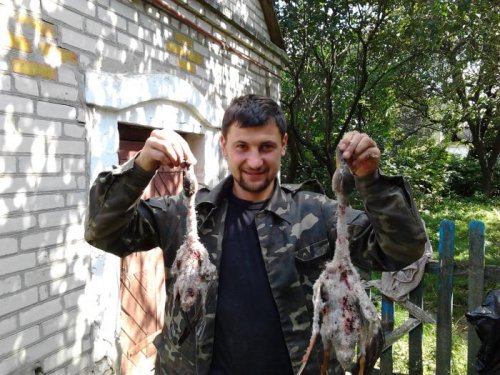 В процессе...