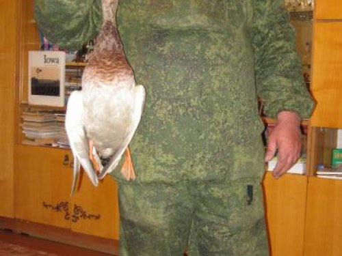 Это я 