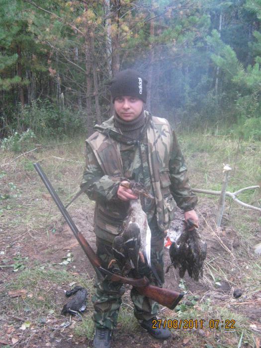 хорошо постреляли...