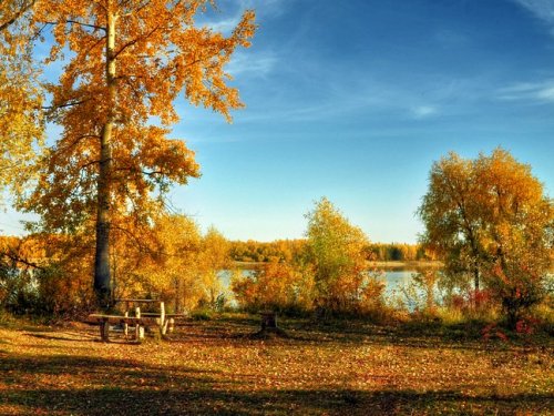 Золотая осень.