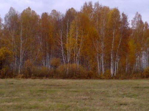 веселая пора