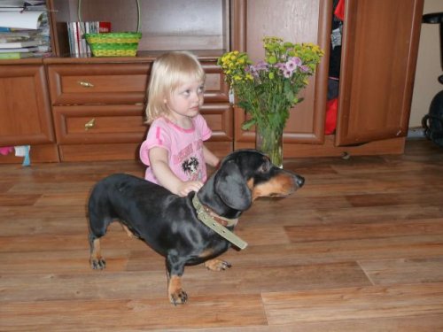 И все таки, какую команду сказать?!?!