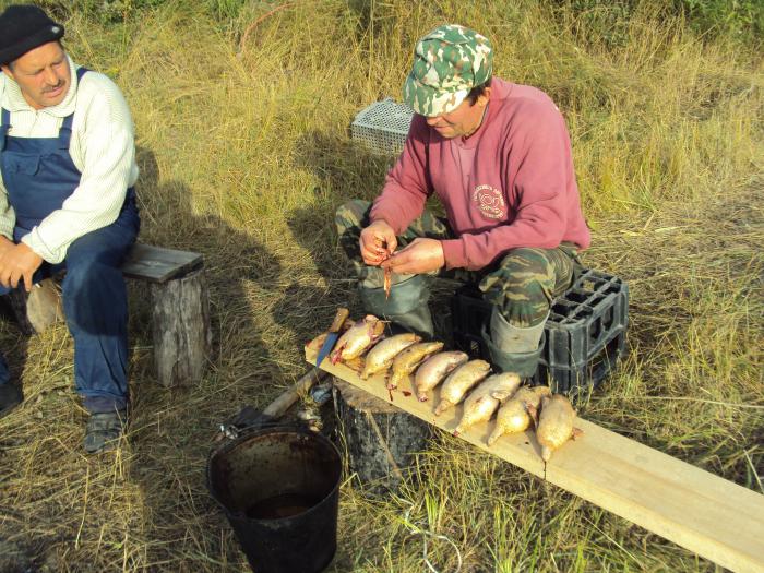 Знатная будет закуска. Открытие осень 2011.