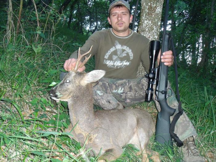 roe deer