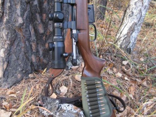 а искал косача....
