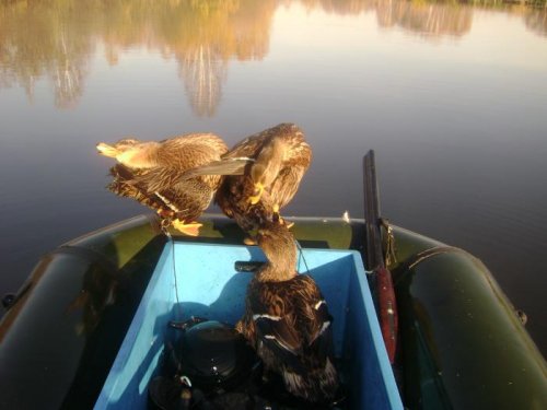 Подруга позируй,нас снимают.