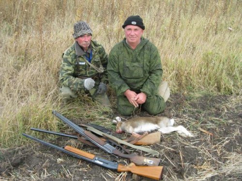 Не побелевший беляк взят из-под гончей