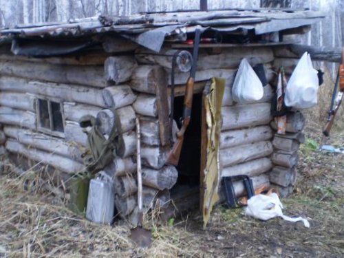 Тайга, охотничья избушка.