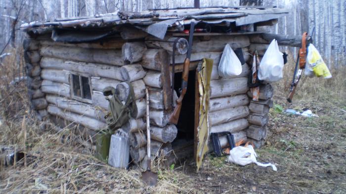 Тайга, охотничья избушка.