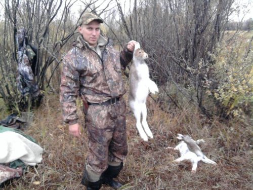 Зайка