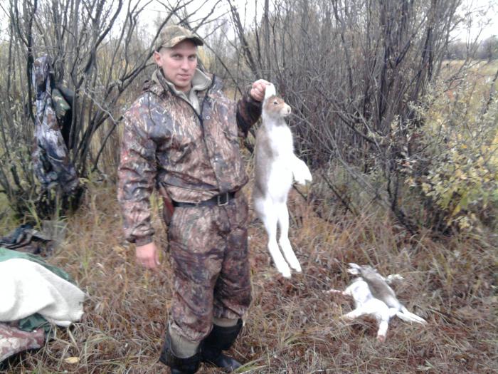 Зайка