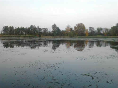 Вечерка