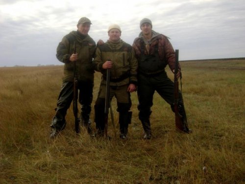 Друзья.