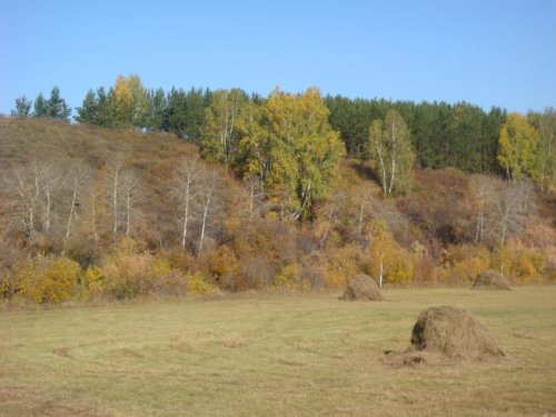 Осенняя пора.