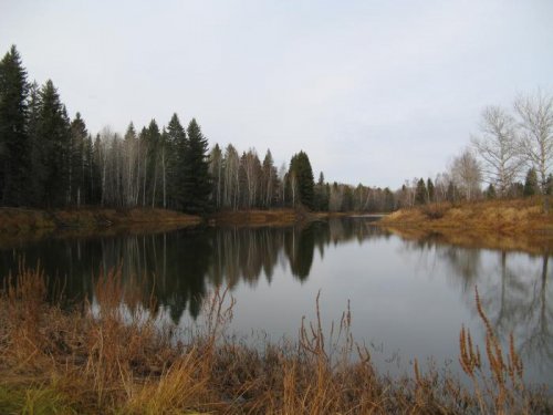 В краю лесных озер