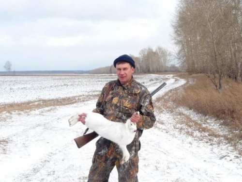 Открылся по зайцу!