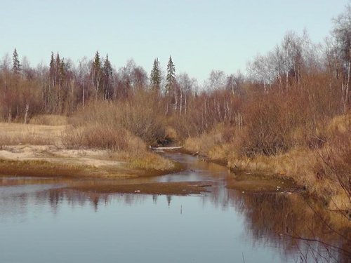 Тропинка к ручью.