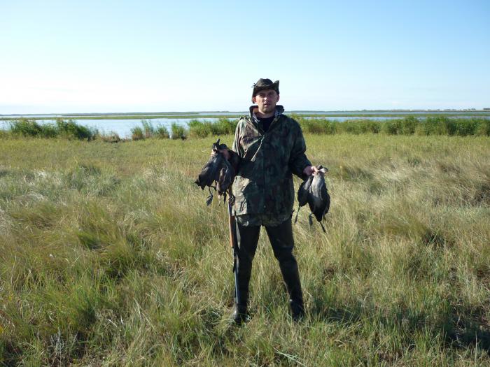 с открытия 2011